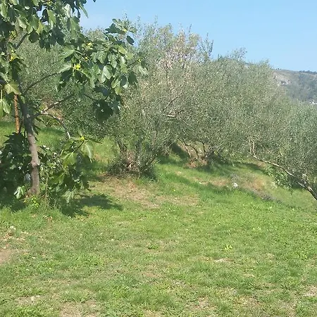 Milija